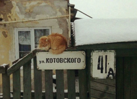 115787