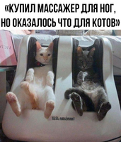 97526