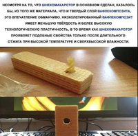55696